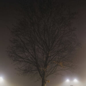 Już można powiedziało i czeka