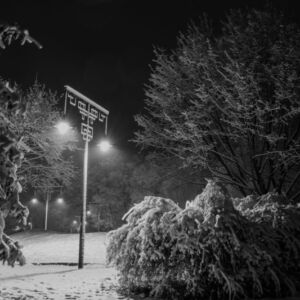 2017 Strefa Rekreacji