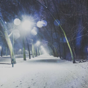 Park im. Marszałka Józefa Piłsudskiego