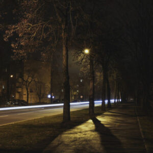 Pędząca Unii Lubelskiej