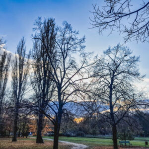 Park Piłsudskiego w Łodzi