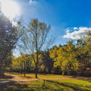 Park Piłsudskiego w Łodzi